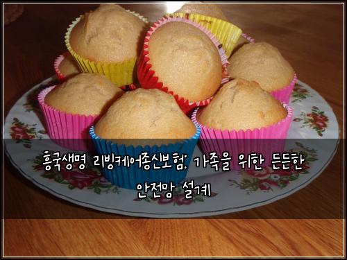 흥국생명 리빙케어종신보험: 가족을 위한 든든한 안전망 설계