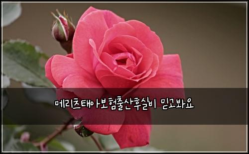 메리츠태아보험출산후실비 믿고봐요