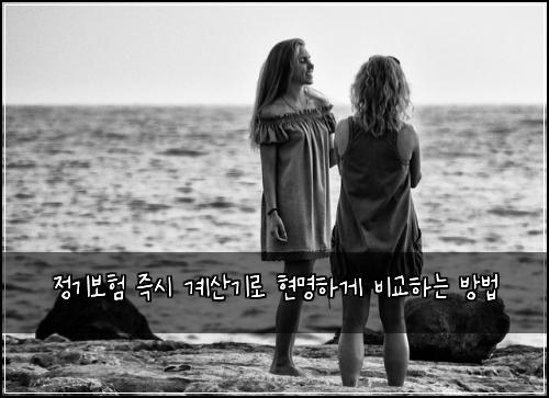정기보험 즉시 계산기로 현명하게 비교하는 방법