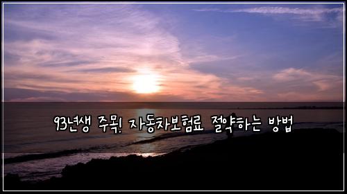 93년생 주목! 자동차보험료 절약하는 방법
