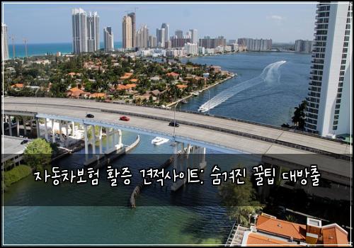 자동차보험 활증 견적사이트: 숨겨진 꿀팁 대방출