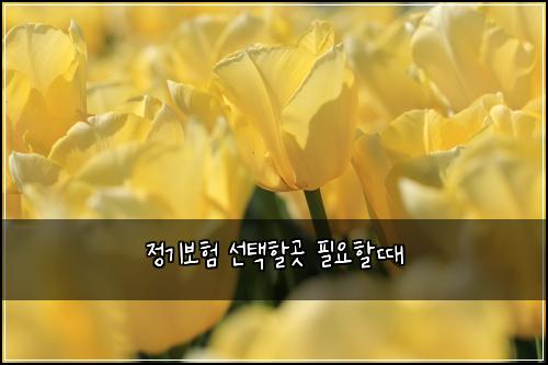 ์ ๊ธฐ๋ณดํ ์ ํํ ๊ณณ ํ์ํ ๋