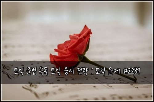 토익 문법 속독 토익 응시 전략 : 토익 문제 #2289