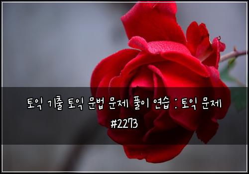 토익 기출 토익 문법 문제 풀이 연습 : 토익 문제 #2273