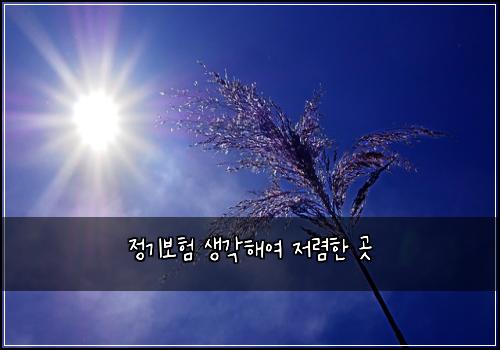 ์ ๊ธฐ๋ณดํ ์๊ฐํด์ฌ ์ ๋ ดํ ๊ณณ