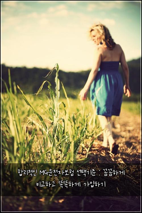  합리적인 MG운전자보험 선택기준 : 꼼꼼하게 비교하고 똑똑하게 가입하기