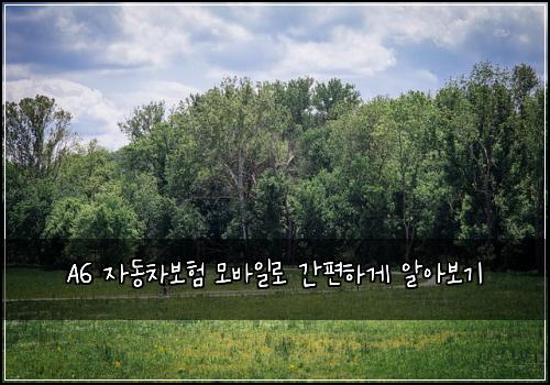  A6 자동차보험 모바일로 간편하게 알아보기
