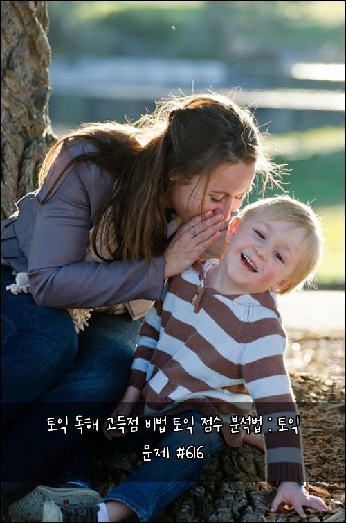 토익 독해 고득점 비법 토익 점수 분석법 : 토익 문제 #616