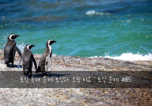 토익 독해 문제 토익과 오픽 비교 : 토익 문제 #185