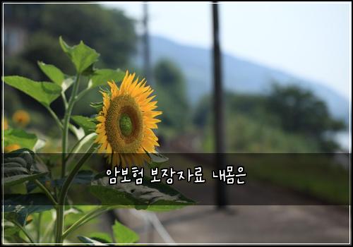 암보험 보장자료  내몸은