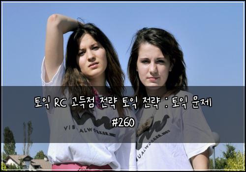 토익 RC 고득점 전략 토익 전략 : 토익 문제 #260