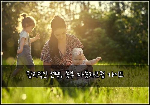  합리적인 선택, 동부 자동차보험 가이드