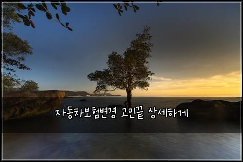 μλ차보νλ³κ²½ κ³ λ―Όλ μμΈνκ²