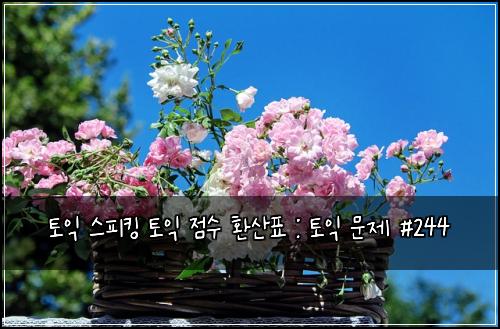 토익 스피킹 토익 점수 환산표 : 토익 문제 #244