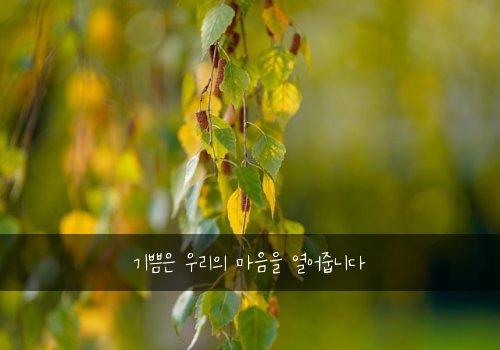 기쁨은 우리의 마음을 열어줍니다