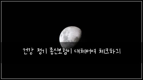 ๊ฑด๊ฐ ์ ๊ธฐ ์ข
์ ๋ณดํ์ด ๋์ฒด๋จธ์ฌ ์ฒดํฌํ๊ธ