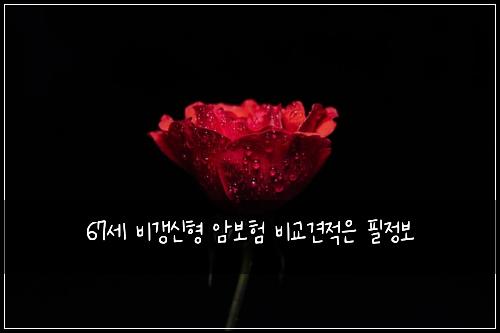 67세 비갱신형 암보험 비교견적은  필정보