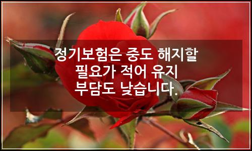 오늘의 이미지