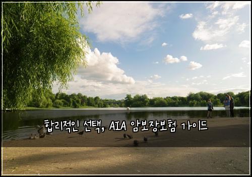  합리적인 선택, AIA 암보장보험 가이드
