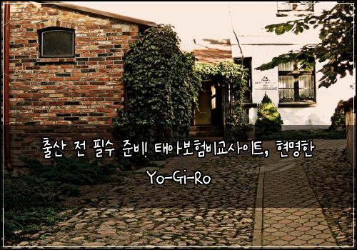 출산 전 필수 준비! 태아보험비교사이트, 현명한 Yo-Gi-Ro