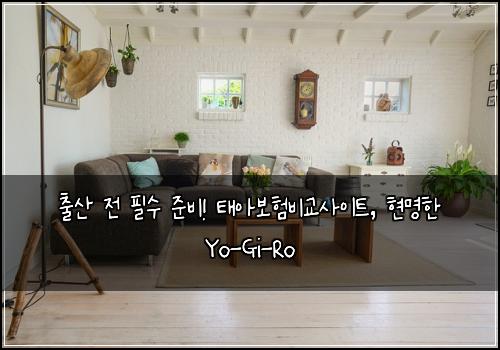 출산 전 필수 준비! 태아보험비교사이트, 현명한 Yo-Gi-Ro