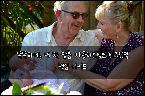  똑똑하게, 내 차 맞춤 자동차보험료 비교견적 핵심 가이드