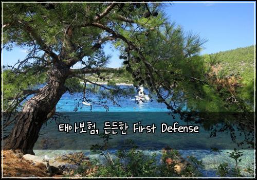 태아보험, 든든한 First Defense