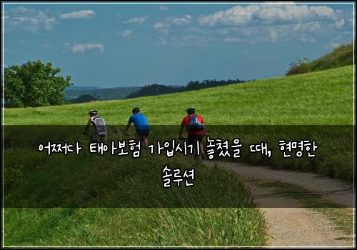  어쩌다 태아보험 가입시기 놓쳤을 때, 현명한 솔루션
