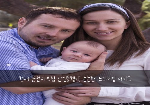 현대 운전자보험 안심동행이: 든든한 드라이빙 메이트