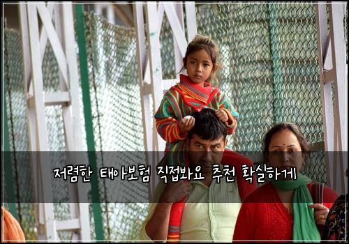 저렴한 태아보험 직접봐요  추천 확실하게