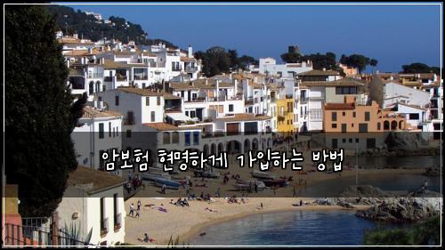 암보험 현명하게 가입하는 방법