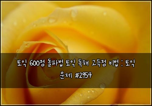 토익 600점 돌파법 토익 독해 고득점 비법 : 토익 문제 #2954