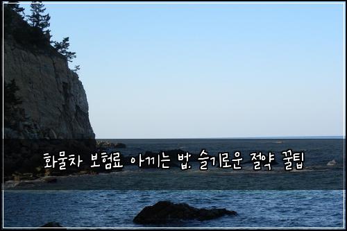 화물차 보험료 아끼는 법: 슬기로운 절약 꿀팁