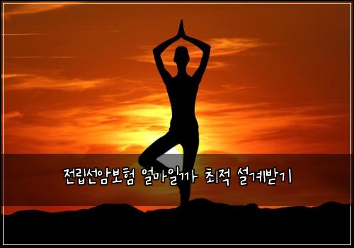 ์ ๋ฆฝ์ ์๋ณดํ ์ผ๋ง์ผ๊น ์ต์ ์ค๊ณ๋ฐ๊ธฐ