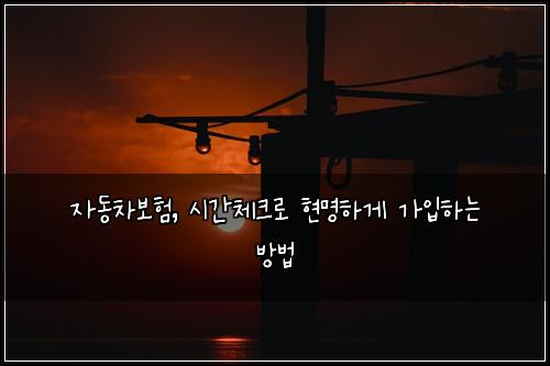 자동차보험, 시간체크로 현명하게 가입하는 방법