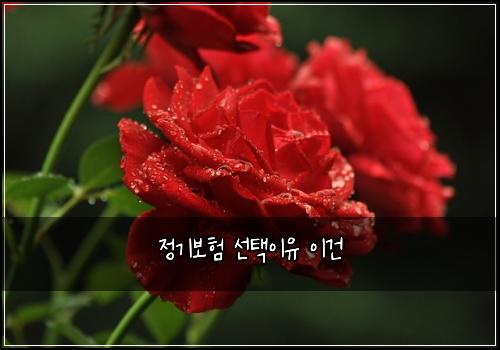 ์ ๊ธฐ๋ณดํ ์ ํ์ด์ ์ด๊ฑด