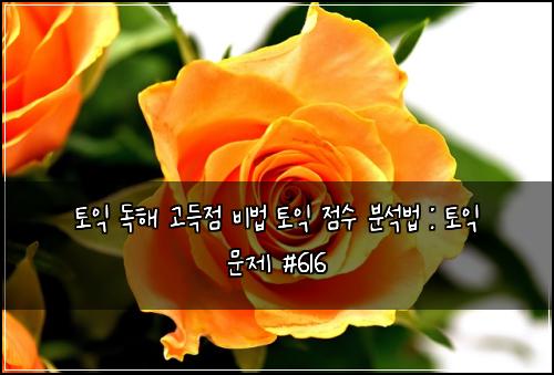 토익 독해 고득점 비법 토익 점수 분석법 : 토익 문제 #616