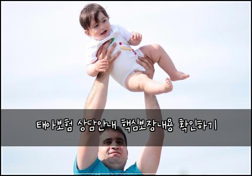 태아보험 상담안내  핵심보장내용 확인하기