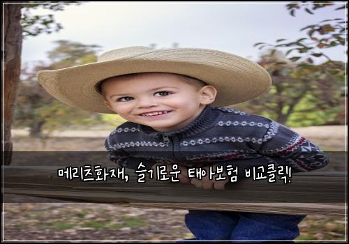 메리츠화재, 슬기로운 태아보험 비교클릭!