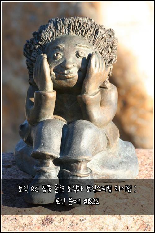 토익 RC 집중 훈련 토익과 토익스피킹 차이점 : 토익 문제 #1832