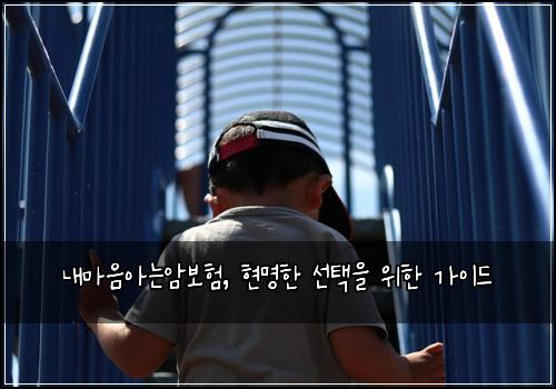 내마음아는암보험, 현명한 선택을 위한 가이드
