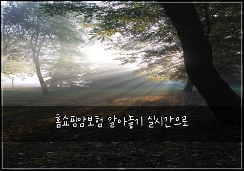 홈쇼핑암보험 알아놓기  실시간으로