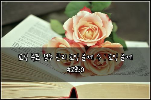 토익 목표 점수 관리 토익 문제 수 : 토익 문제 #2850