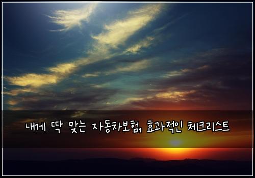  내게 딱 맞는 자동차보험, 효과적인 체크리스트