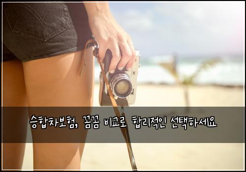 승합차보험, 꼼꼼 비교로 합리적인 선택하세요