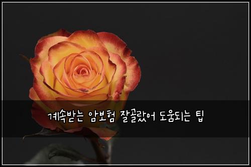 계속받는 암보험 잘골랐어  도움되는 팁