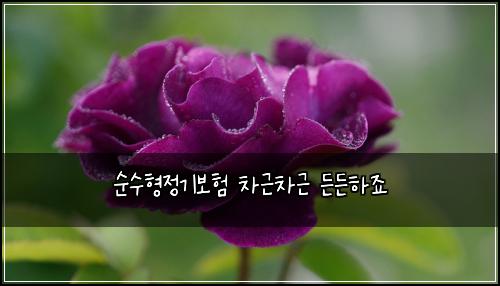 ์์ํ์ ๊ธฐ๋ณดํ ์ฐจ๊ทผ์ฐจ๊ทผ ๋ ๋ ํ์ฃ