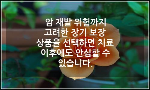 오늘의 이미지