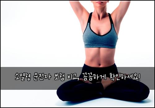 소멸형 운전자 보험 비교, 꼼꼼하게 확인하세요!