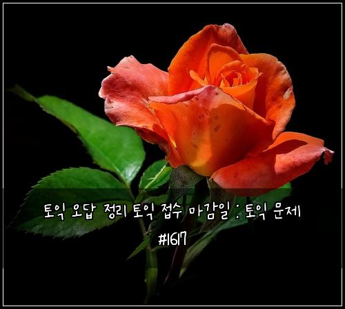 토익 오답 정리 토익 접수 마감일 : 토익 문제 #1617